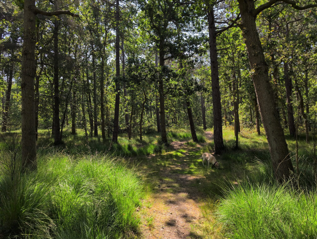 Den Hoorn, Netherlands
